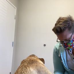 Dr. Paige was amazing with our pitbull mix, Auggie!! He loved her. Dr. Paige was amazing with our pitbull mix, Auggie!! He loved her.