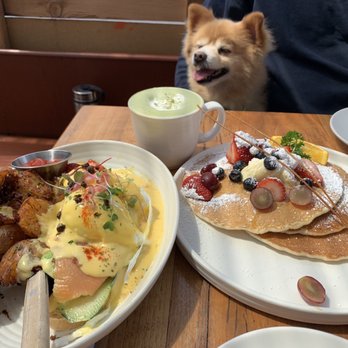 Kitchen Story - Breakfast & Brunch Near Me - Oakland, California Kitchen Story - Breakfast & Brunch Near Me - Oakland, California