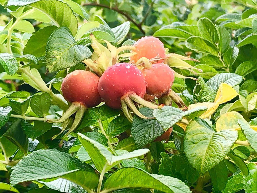 MARIE JOSEPH SPIRITUAL CENTER Updated August 2024 13 Photos 10