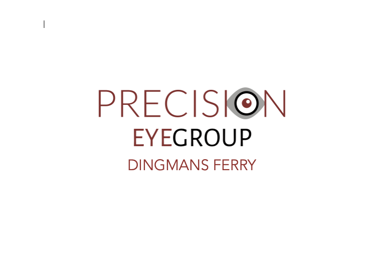 PRECISION EYE GROUP DINGMANS FERRY Updated September 2024 1409