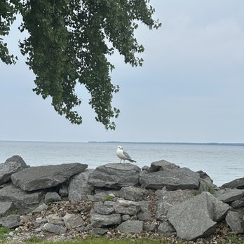 Association Island RV Campgrounds, KOA - Lovely back in site views - Hotels Near Me - Henderson, New York Association Island RV Campgrounds, KOA - Lovely back in site views - Hotels Near Me - Henderson, New York