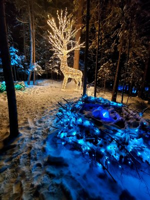 Ice Castles by null