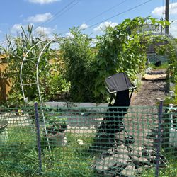 Serrano Landscape Supply Group