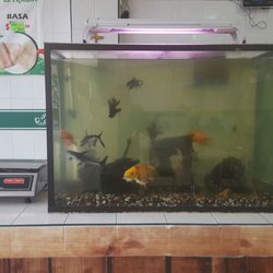 Pescadería y Mariscos el Marlin