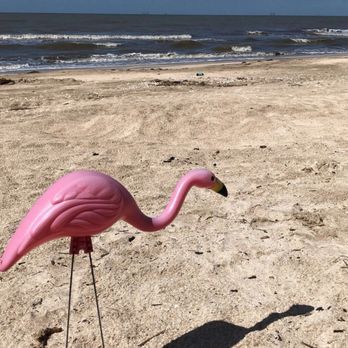 Rutherford Beach - Our RV mascot - Beaches Near Me - Creole, Louisiana