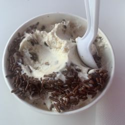 Nauset Ice Cream - Mint Chocolate chip