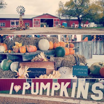 KC Pumpkin Patch - Pumpkin Patches Near Me - Olathe, Kansas