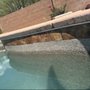 Photo of Pool Cleaning Services by Preservation Pros, Inc.