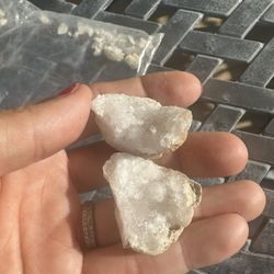 Son found these at camp