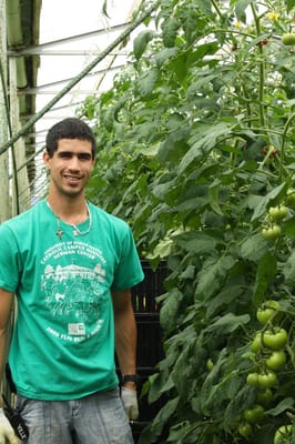 Ultimate Burger by null