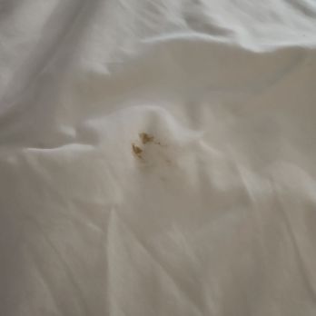 Budget Inn - Dirty sheets - Hotels Near Me - Cicero, New York Budget Inn - Dirty sheets - Hotels Near Me - Cicero, New York