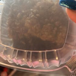North Carolina Blueberry Festival - Blueberry cobbler