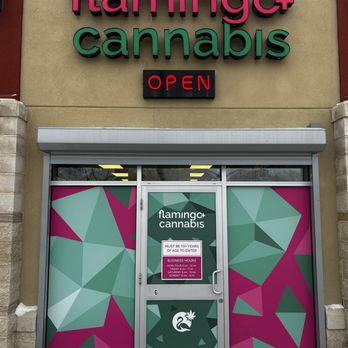 Flamingo+ Cannabis - Vape Shops Near Me - Winnipeg, Manitoba