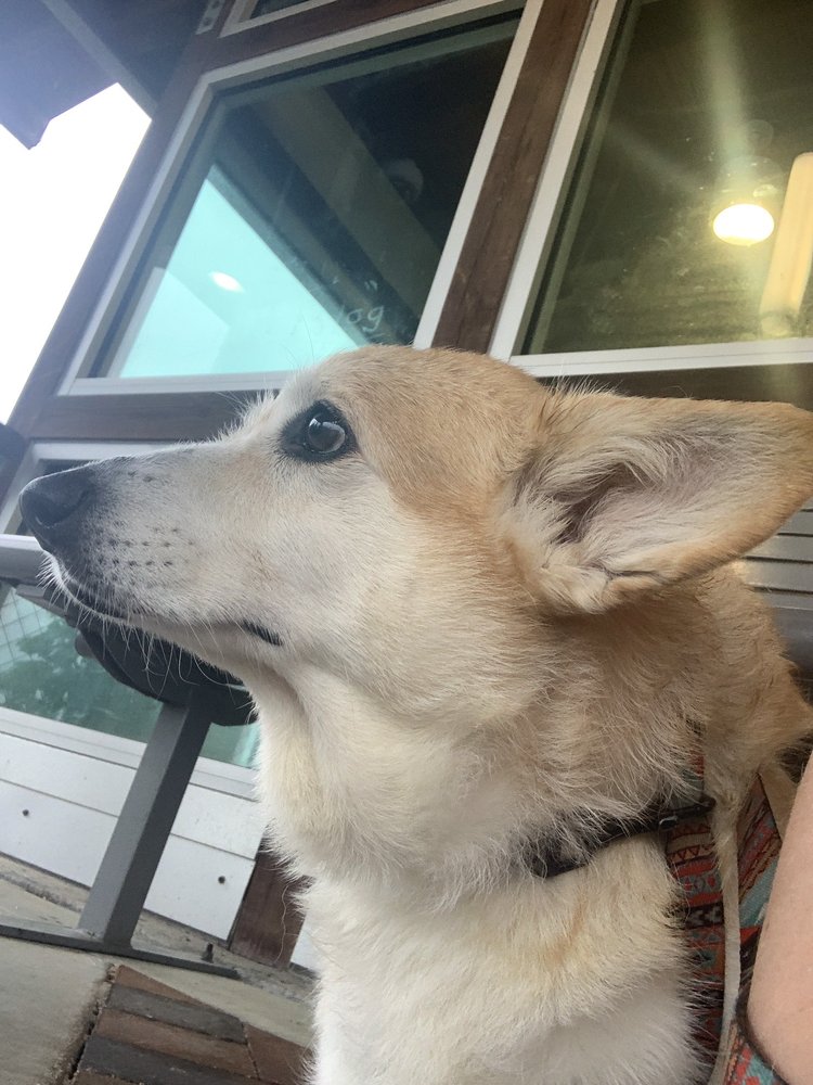 REST AREA Updated October 2024 Interstate 49, Bunkie, Louisiana