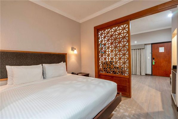 Wyndham Garden Baronne Plaza New Orleans by null