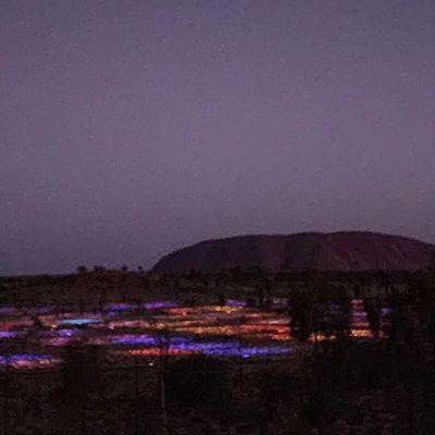 Field of Light by null