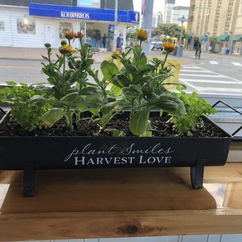 Harvest - American Near Me - Virginia Beach, Virginia Harvest - American Near Me - Virginia Beach, Virginia