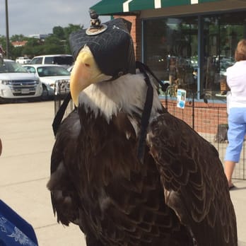 Wild Birds Unlimited - Bald eagle.   He is a rock star! - Bird Shops Near Me - Chesapeake, Virginia