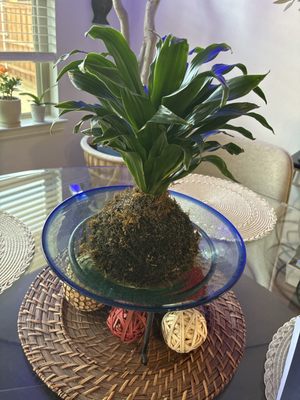 Lekka Retail Concepts by null