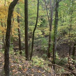 The park is beautiful in fall