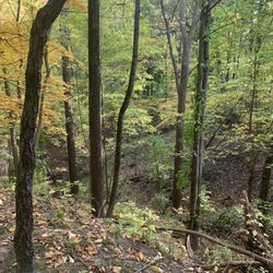 Bloomer Park - The park is beautiful in fall