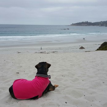 Briarwood Inn - I am definetely coming back to Carmel - Hotels Near Me - Carmel, California