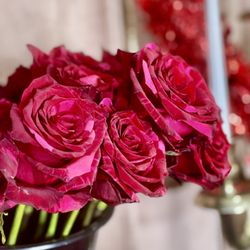 Party Chica Blooms - Panther roses