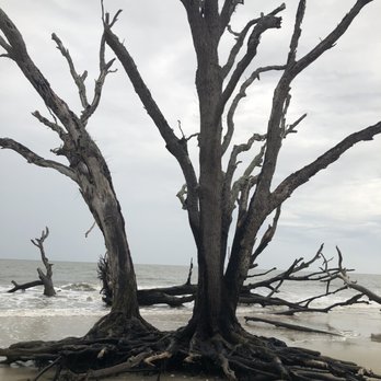 Botany Bay Plantation - Parks Near Me - Edisto Island, South Carolina