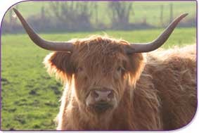 Ponderosa Therapeutic Centre