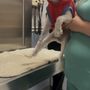 Photo of ​Wickham Animal Hospital & Boarding