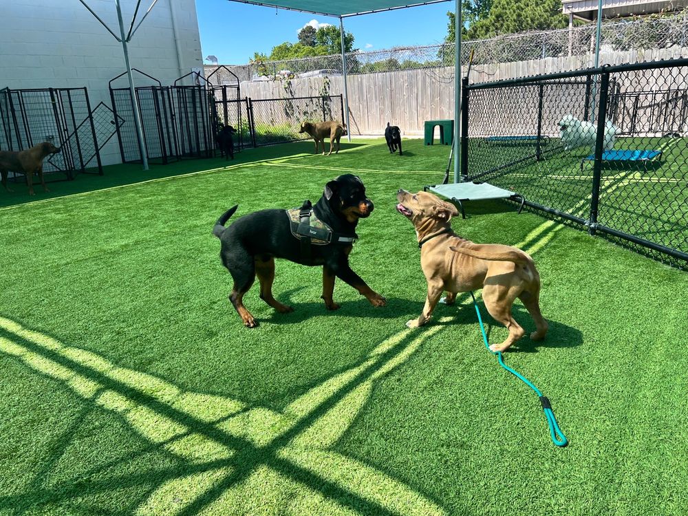 o Jupiter Florida Real Estate For Sale