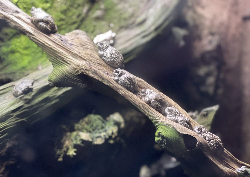 THE VIRGINIA AQUARIUM & MARINE SCIENCE CENTER 1060 Photos & 355