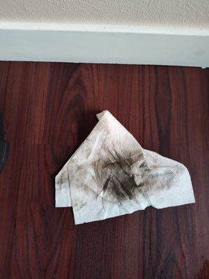 Shangri-la Boat Tour by null