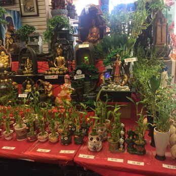 Miami China City - Plants - Arts & Crafts Near Me - Miami, Florida
