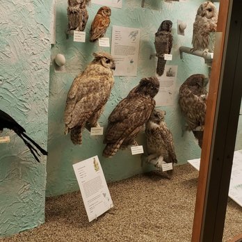Hastings Museum - Museums Near Me - Hastings, Nebraska Hastings Museum - Museums Near Me - Hastings, Nebraska