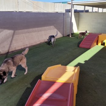 Petopia Pet Resort - Nice and clean facility. - Pet Sitting Near Me - Orange, California Petopia Pet Resort - Nice and clean facility. - Pet Sitting Near Me - Orange, California