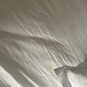 The Darcy - Hotels Near Me - Washington, DC, District of Columbia The Darcy - Hotels Near Me - Washington, DC, District of Columbia