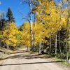 Santa Fe Guiding Company gift card