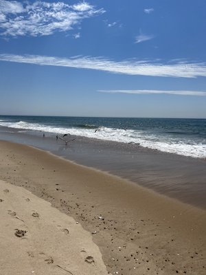 Sea Crest Resort by null