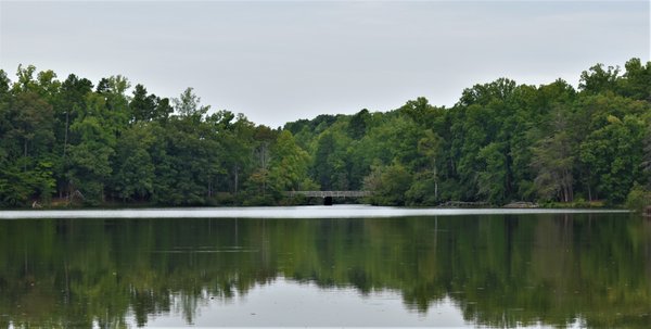 Lake Norman State Park by null