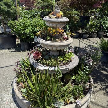 High Hand Nursery - Nurseries & Gardening Near Me - Loomis, California High Hand Nursery - Nurseries & Gardening Near Me - Loomis, California