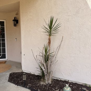 Go Green Tree Service - Tree Services Near Me Go Green Tree Service - Tree Services Near Me
