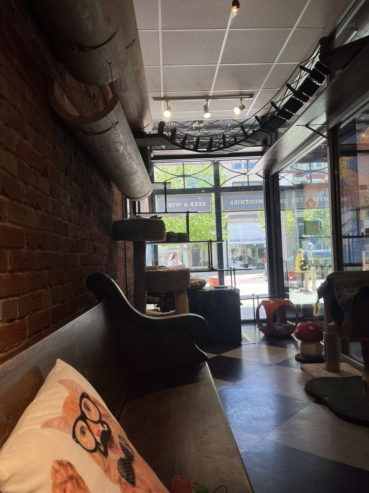 River Kitty Cat Cafe
