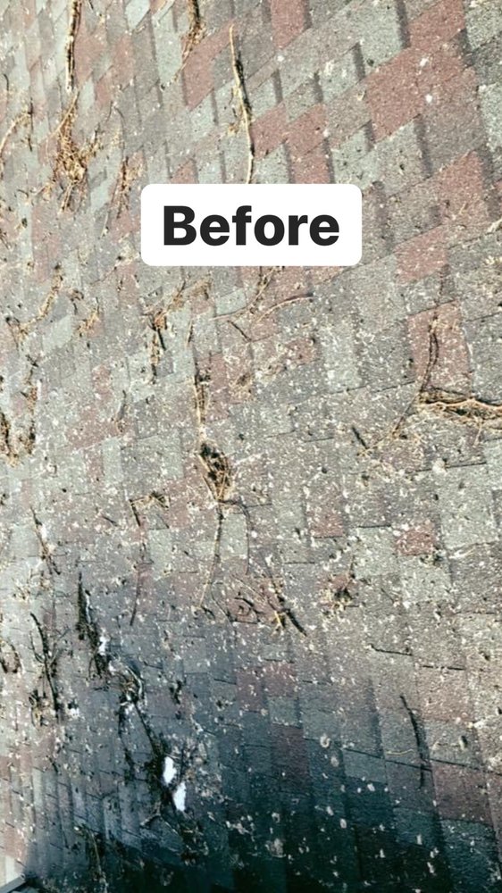 PRESSURE KING Updated September 2024 10 Photos & 13 Reviews 228 Vly Rd, Niskayuna, New