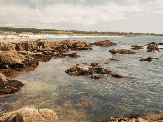 Asilomar State Beach by null