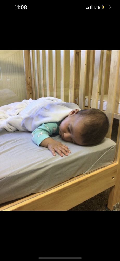 Citrus Park Day School - childcare center in Tampa, FL