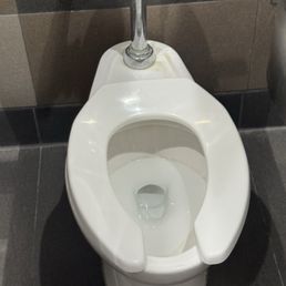 Disgusting every single toilet is like this in the women's restroom