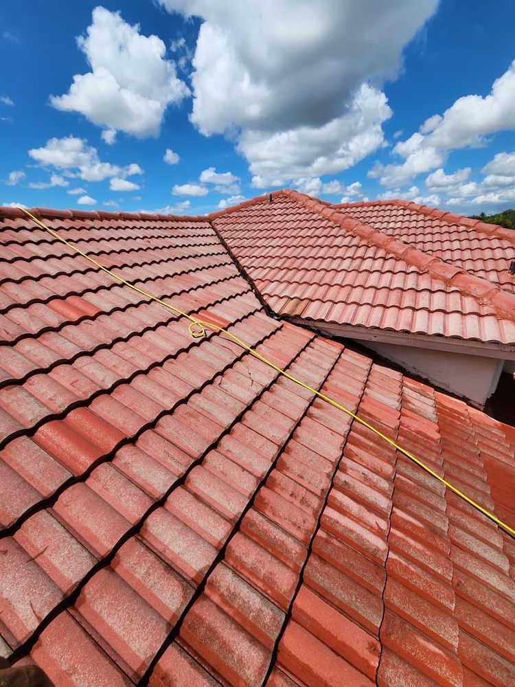 JAAG Multiservices - tree service in Southwest Ranches , FL