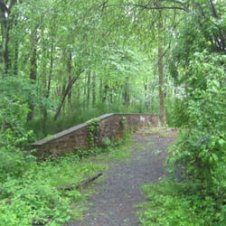 Cook Natural Area
