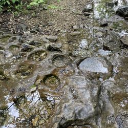 Henning State Conservation Area